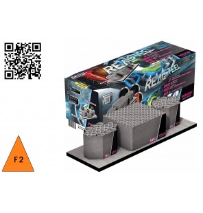 BATTERIE REAL STEEL